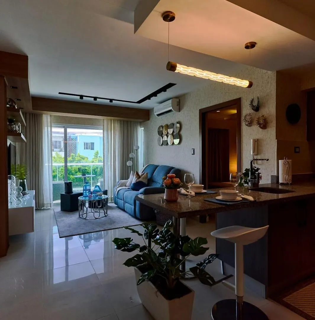 Deluxe Near Malecon The Santo Donimgo And Colonial Zone Apartment Santo Domingo