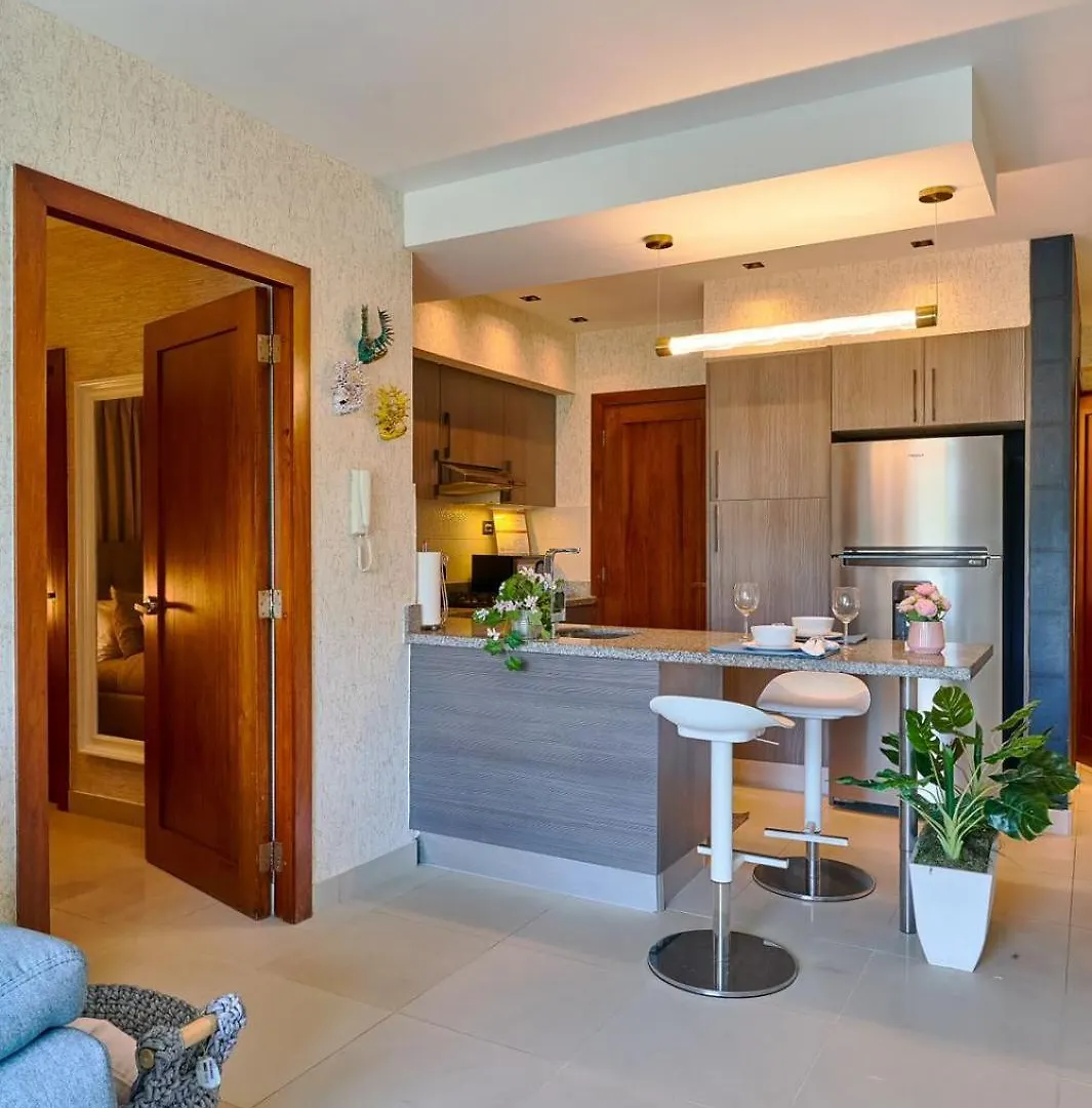 Deluxe Near Malecon The Santo Donimgo And Colonial Zone Apartment Santo Domingo